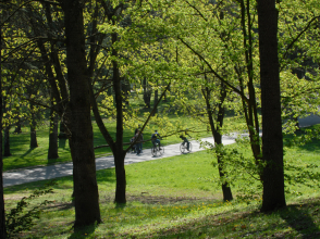 Parc de Parilly à Bron © Dominique Perron